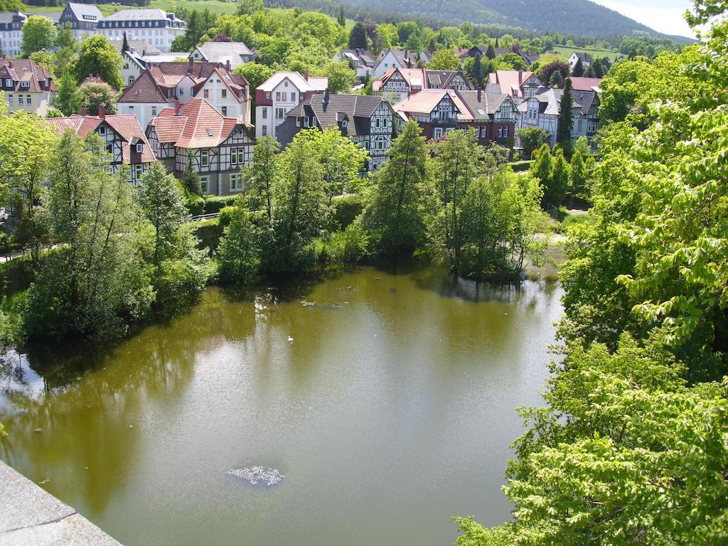 Ferienwohnungen Burg Im Zwinger Goslar Exteriér fotografie